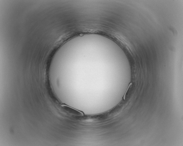 X0000115710312200911251901