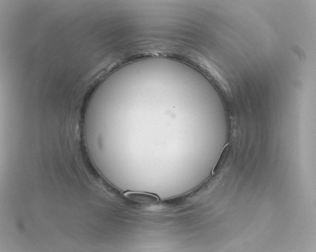 X0000115710313200911251901