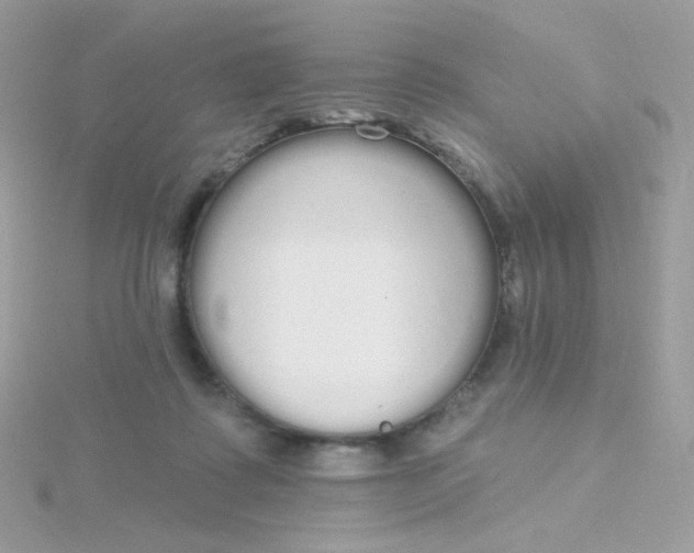 X0000115710315200911251901