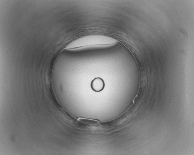 X0000115710317200911251901