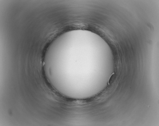 X0000115710320200911251901