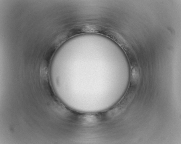 X0000115710322200911251901