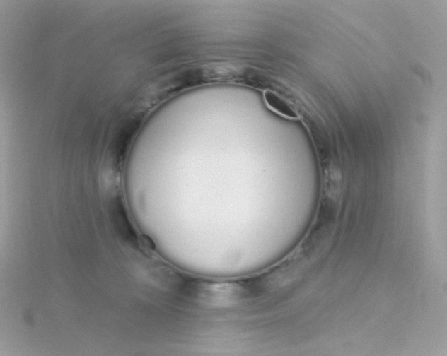 X0000115710324200911251901