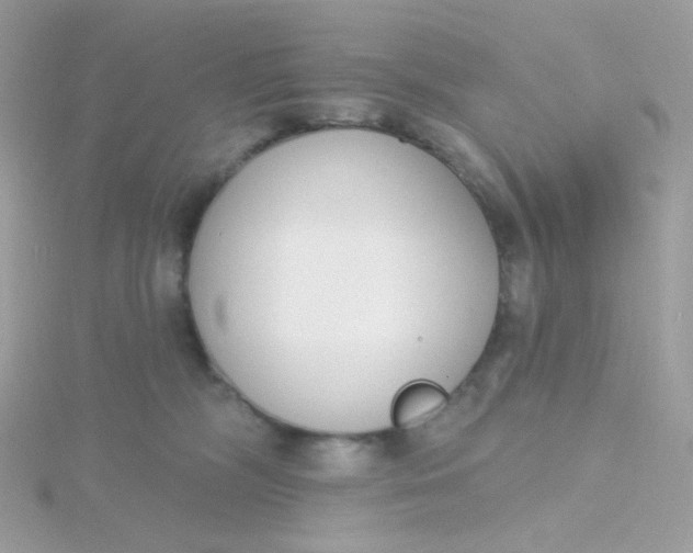 X0000115710326200911251901