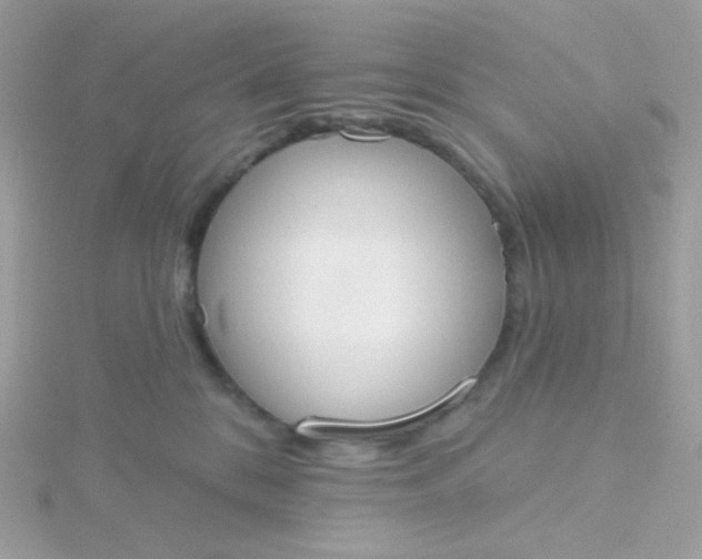 X0000115710328200911251901