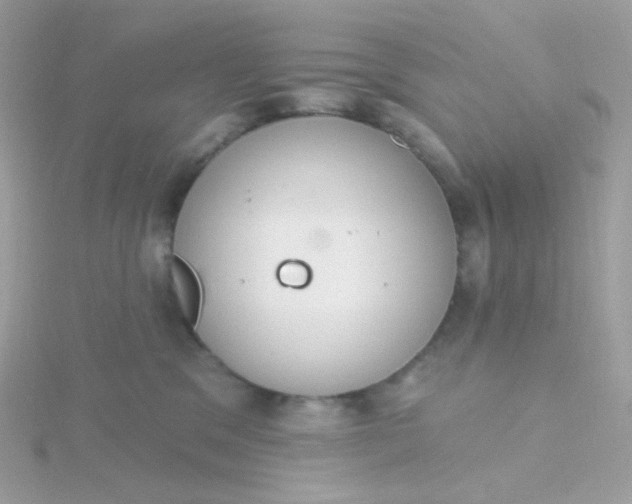 X0000115710329200911251901