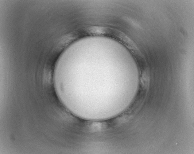 X0000115710330200911251901