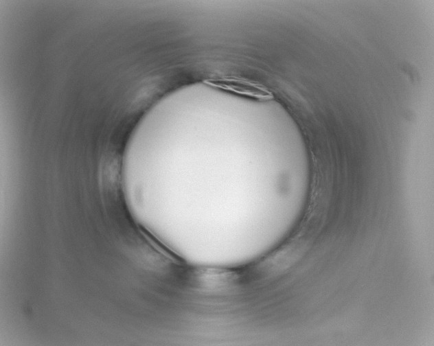 X0000115710336200911251901