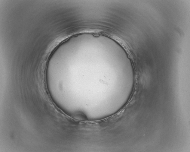 X0000115710337200911251900