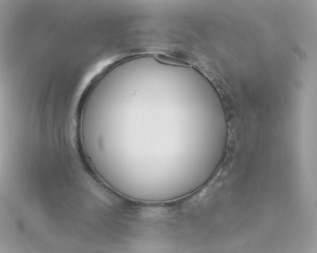 X0000115710342200911251901