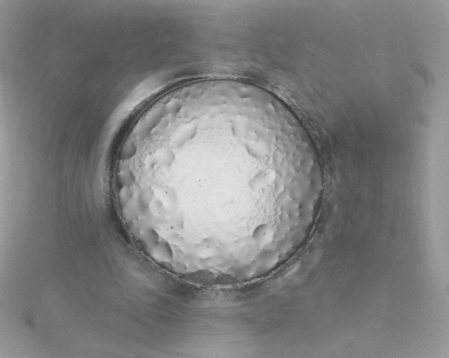 X0000115710343200911251901