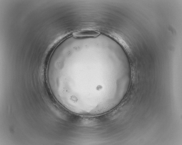 X0000115710346200911251901