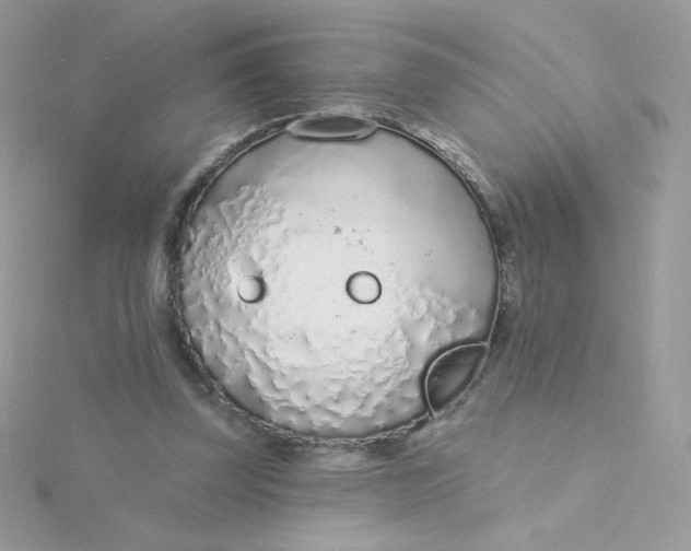 X0000115710347200911251901