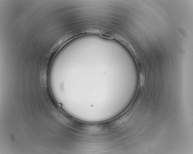 X0000115710349200911251901