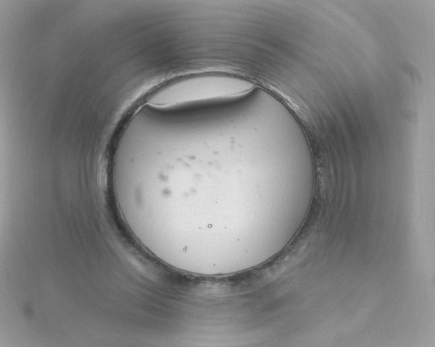 X0000115710350200911251901