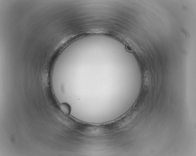 X0000115710351200911251901