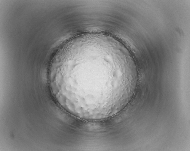 X0000115710353200911251901