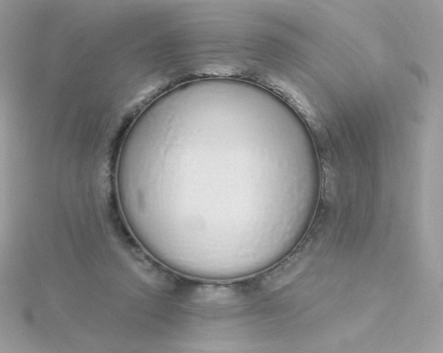 X0000115710354200911251901