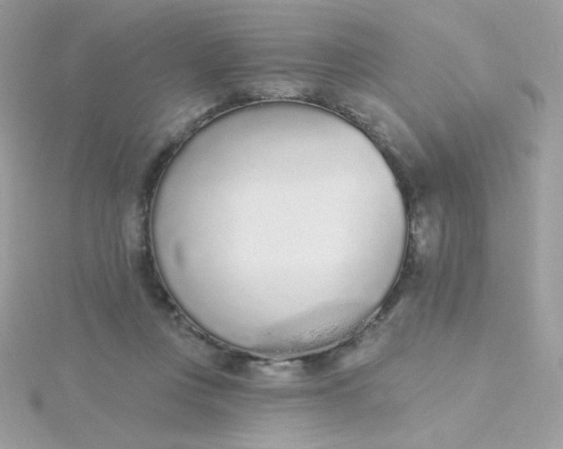 X0000115710359200911251901