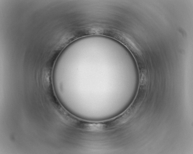 X0000115710363200911251901