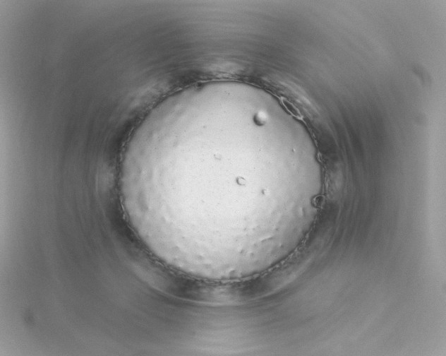 X0000115710365200911251901