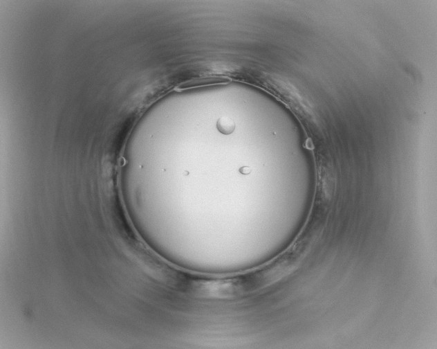 X0000115710366200911251901