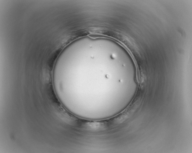 X0000115710367200911251901