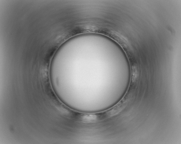 X0000115710369200911251901