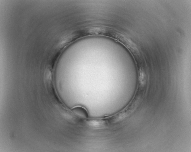 X0000115710375200911251901