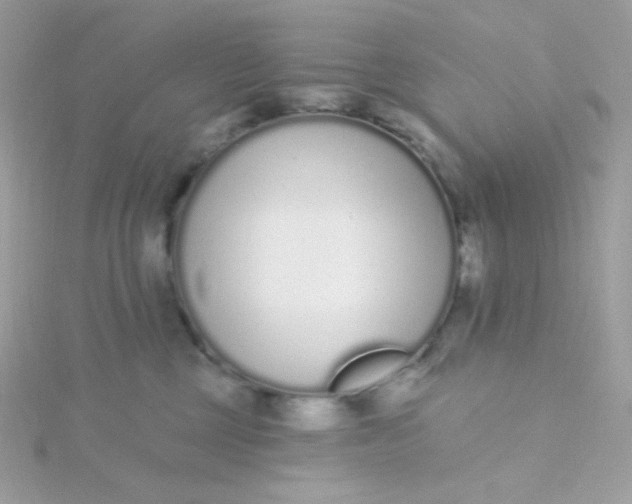 X0000115710377200911251901