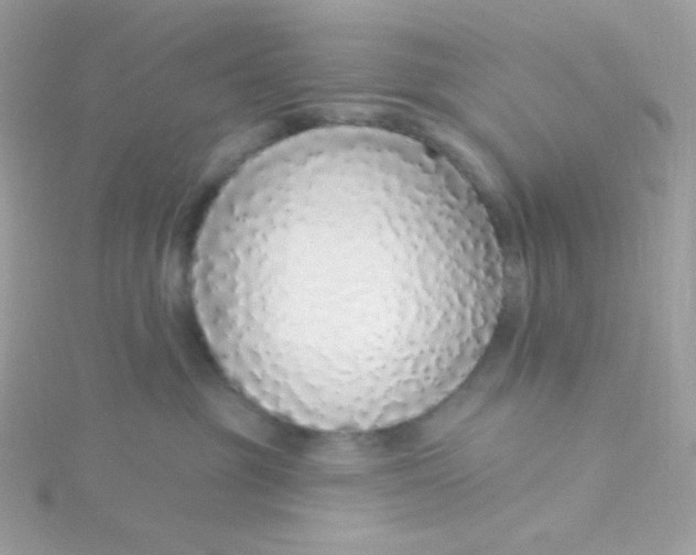 X0000115710381200911251901