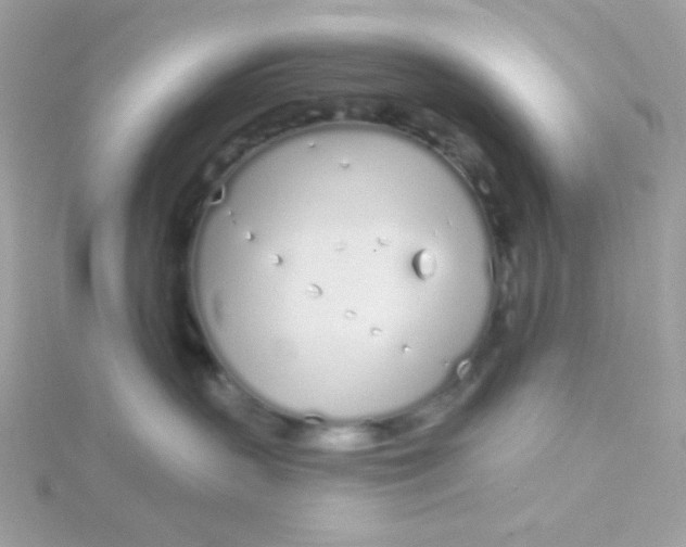 X0000115710383200911251901