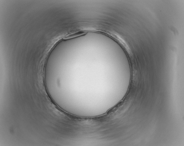 X0000115710385200911251900