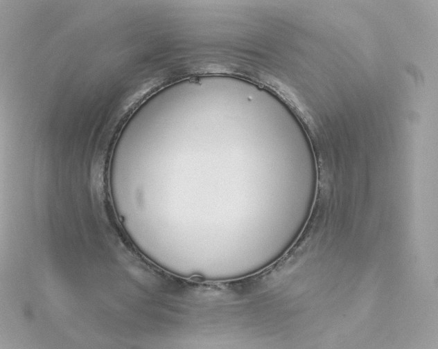 X0000115710386200911251900