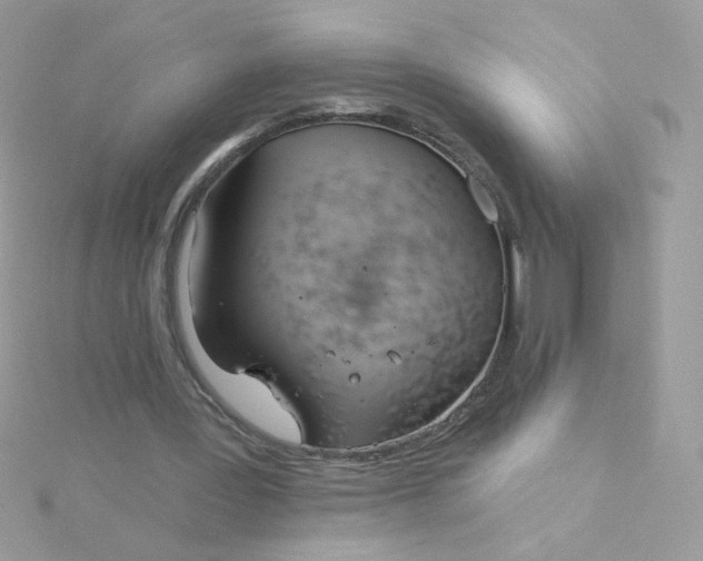 X0000115710387200911251900