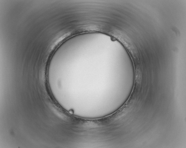 X0000115710390200911251900