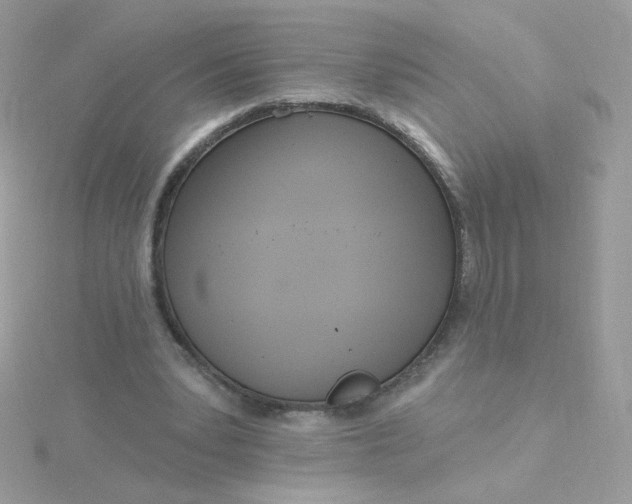 X0000115710391200911251900