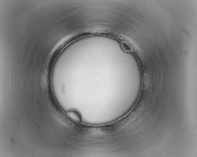 X0000115710392200911251900