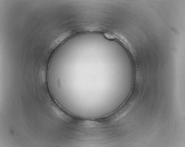 X0000115710393200911251900