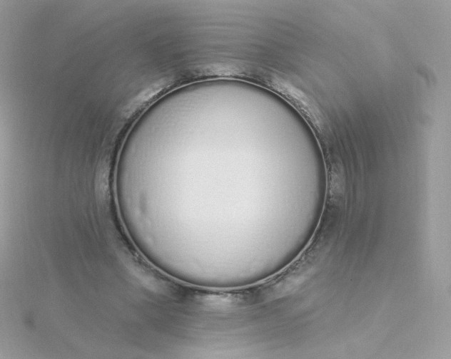 X0000115710394200911251900