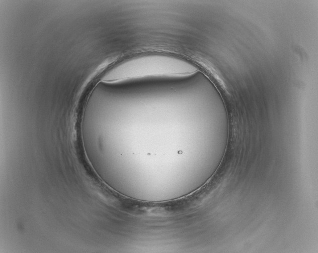 X0000115710395200911251900