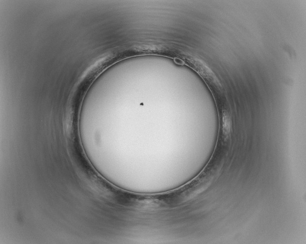 X0000115710396200911251900