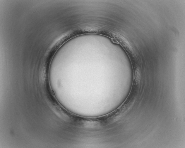 X0000115710400200911251900