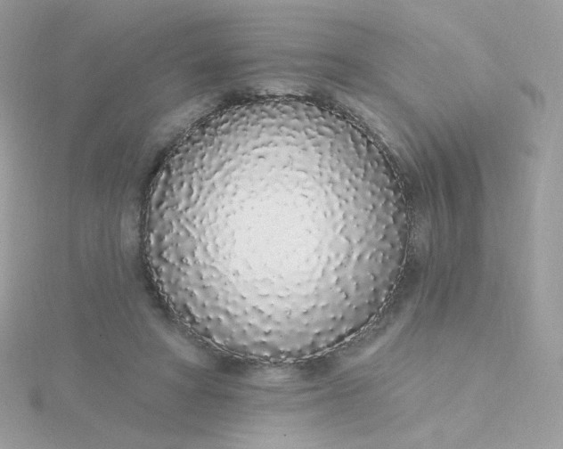 X0000115710402200911251900