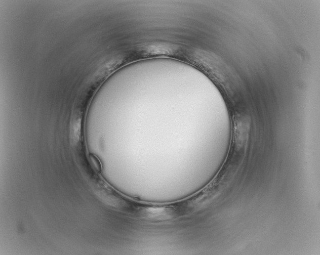 X0000115710406200911251900