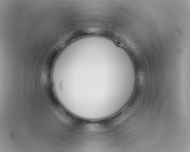 X0000115710408200911251900