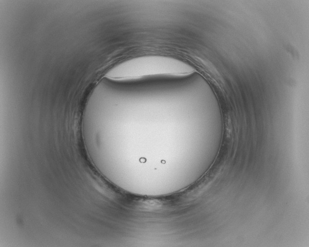 X0000115710409200911251900