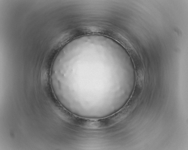 X0000115710410200911251900