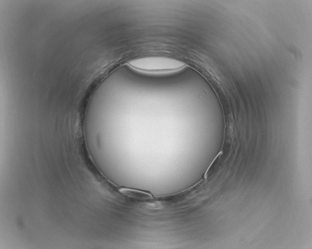 X0000115710411200911251900