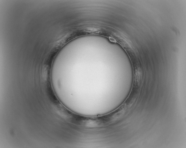 X0000115710412200911251900